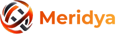 Meridya Dijital Dönüşüm logosu